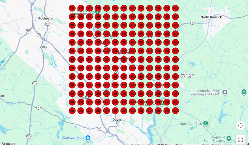 Local gym geo-grid ranking before SEO: all positions showing 20+